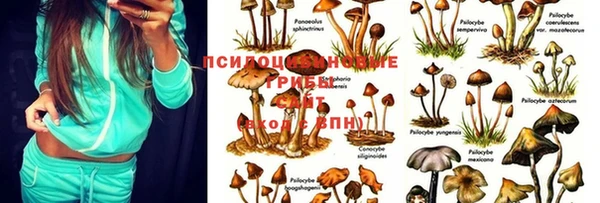 прущая мука Абаза