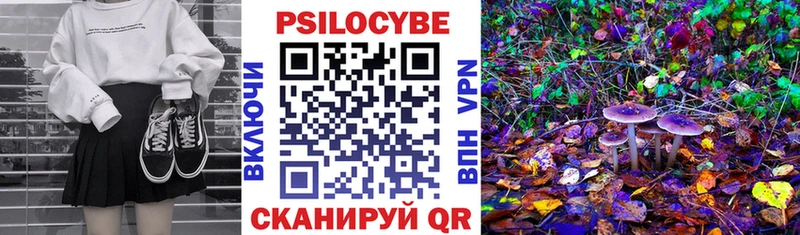 Псилоцибиновые грибы мухоморы Абинск