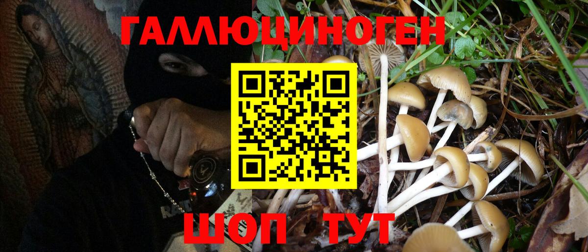 Абинск  Галлюциногенные грибы Psilocybe  Вход с VPN 